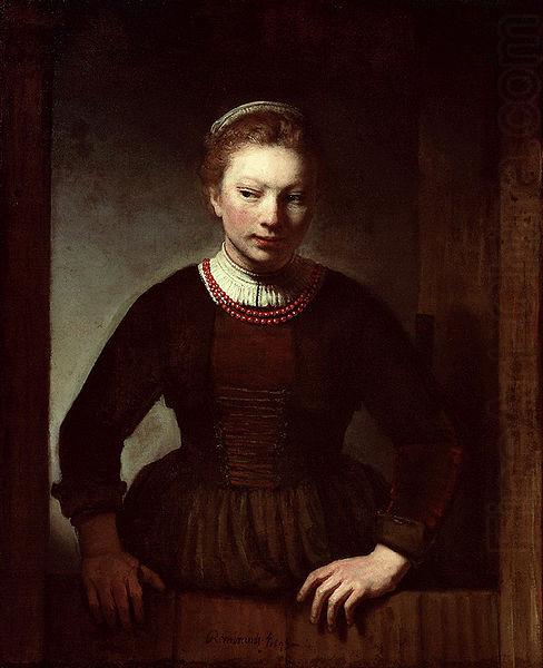 Samuel van hoogstraten Woman at a dutch door china oil painting image